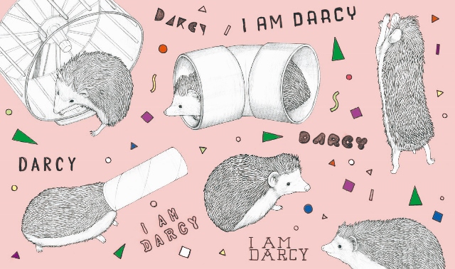 darcy_4-1 (640x379)
